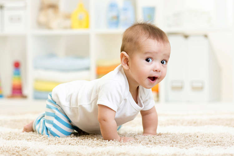 A baby aged between 7 and 9 months crawls on the floor and looks around inquisitively
