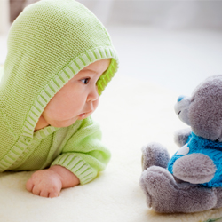 Baby aged about 5 months looks curiously at a cuddly toy