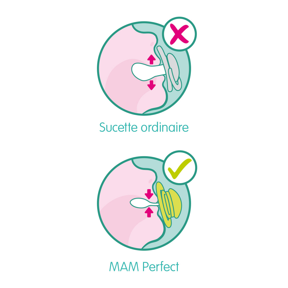 Mam Perfect Reduire Le Risque De Mauvais Alignement Des Dents Mam Perfect Reduire Le Risque De Mauvais Alignement Des Dents