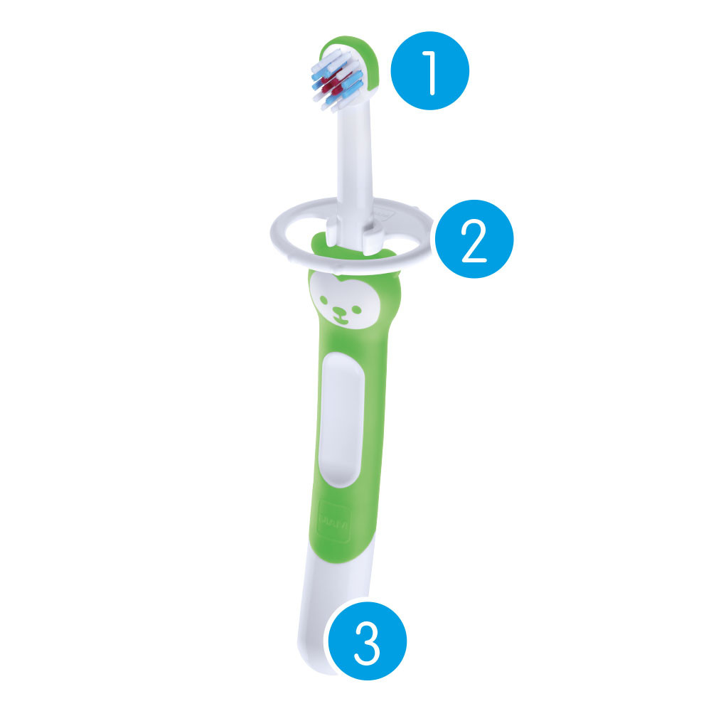 Escova de Dente Infantil MAM - Training Brush - 6+ meses