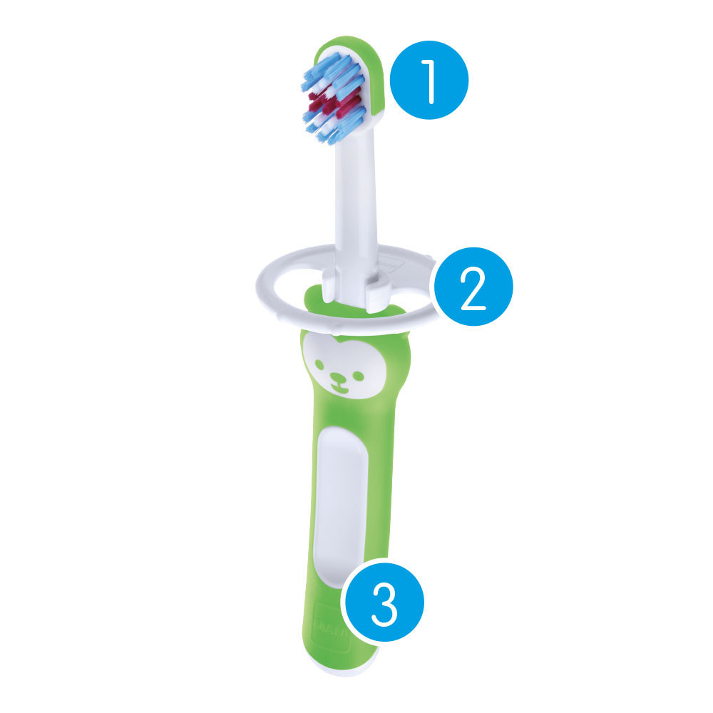 Escova de Dente Infantil MAM - Learn to Brush - 6+ meses Embalagem Dupla