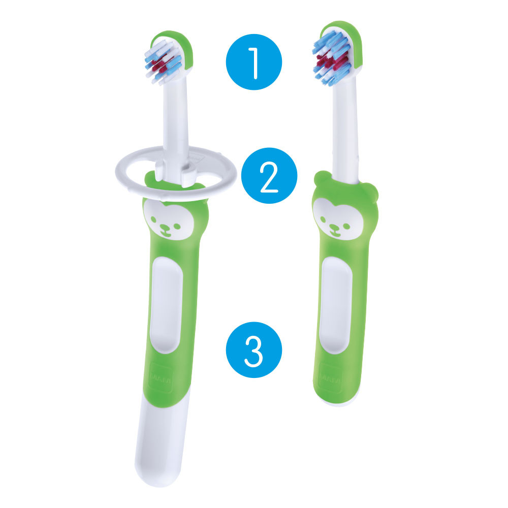 Learn to Brush Set