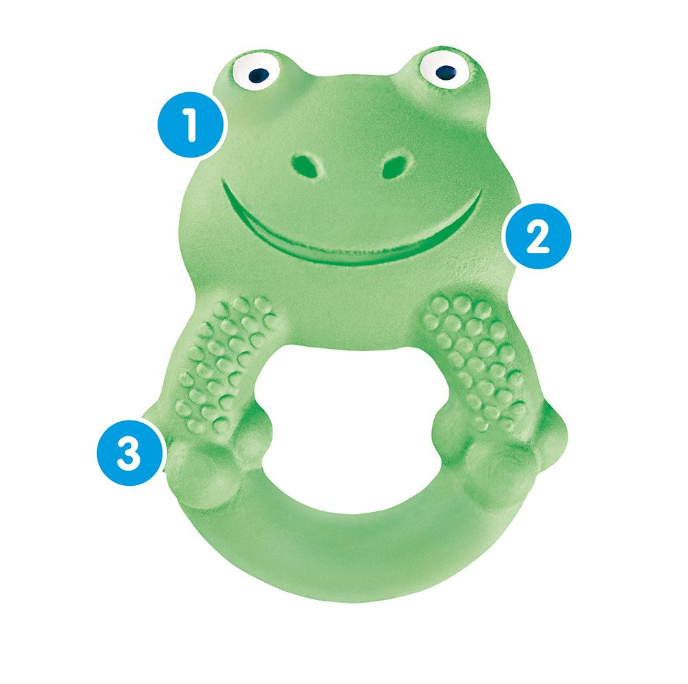 Max the Frog